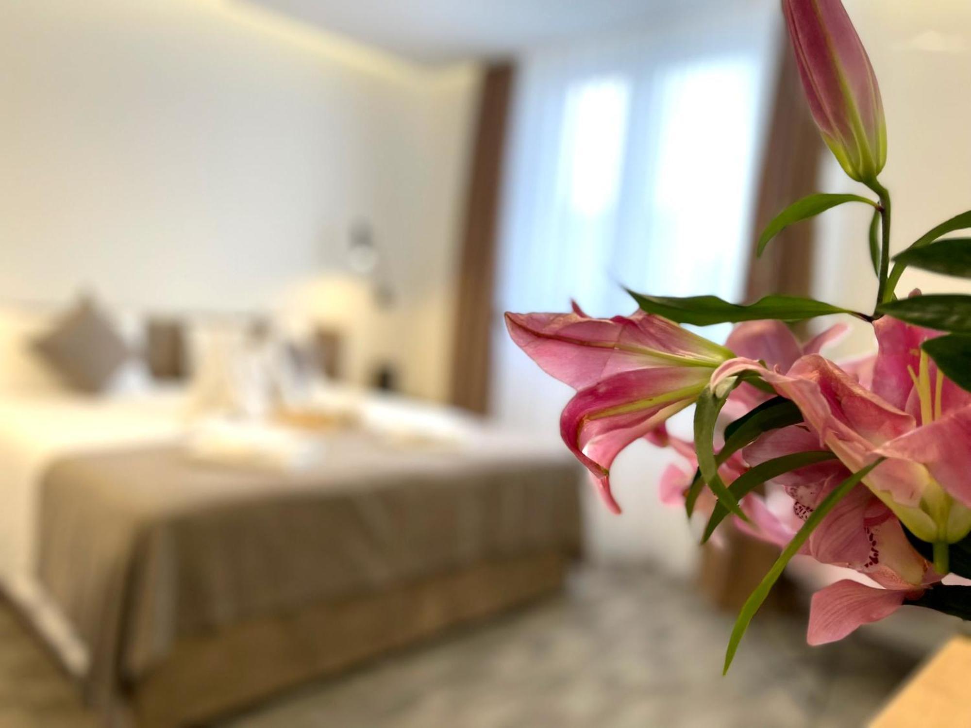 Hotel Npl Code Naselje Starosjedilaca 外观 照片