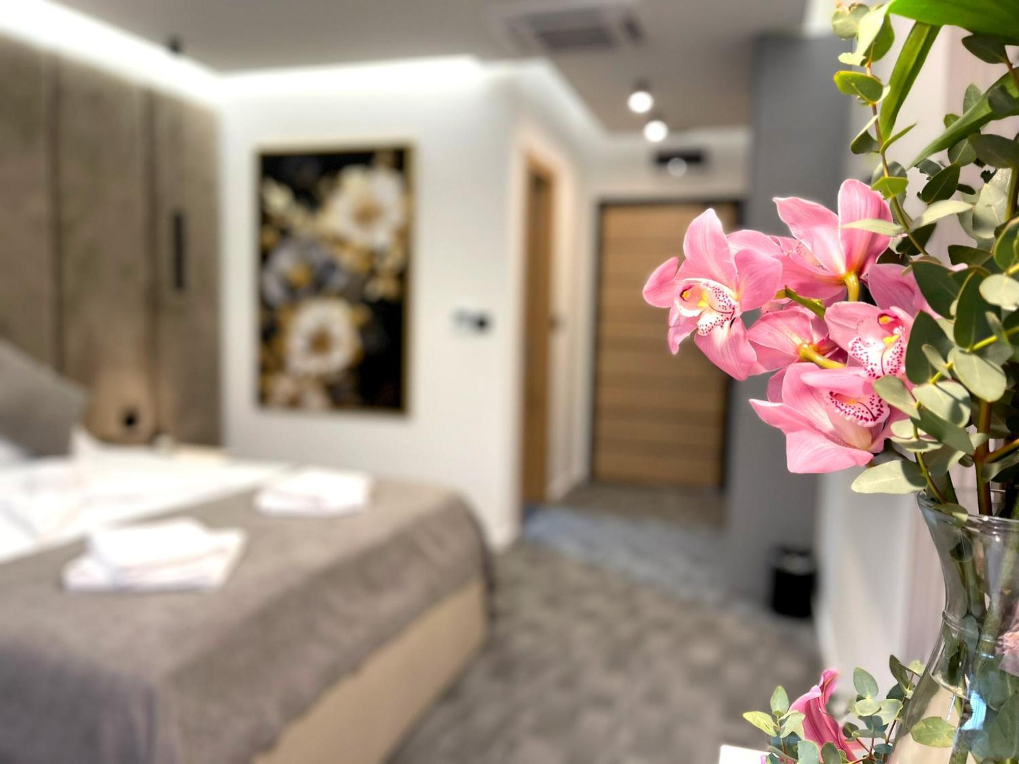 Hotel Npl Code Naselje Starosjedilaca 外观 照片