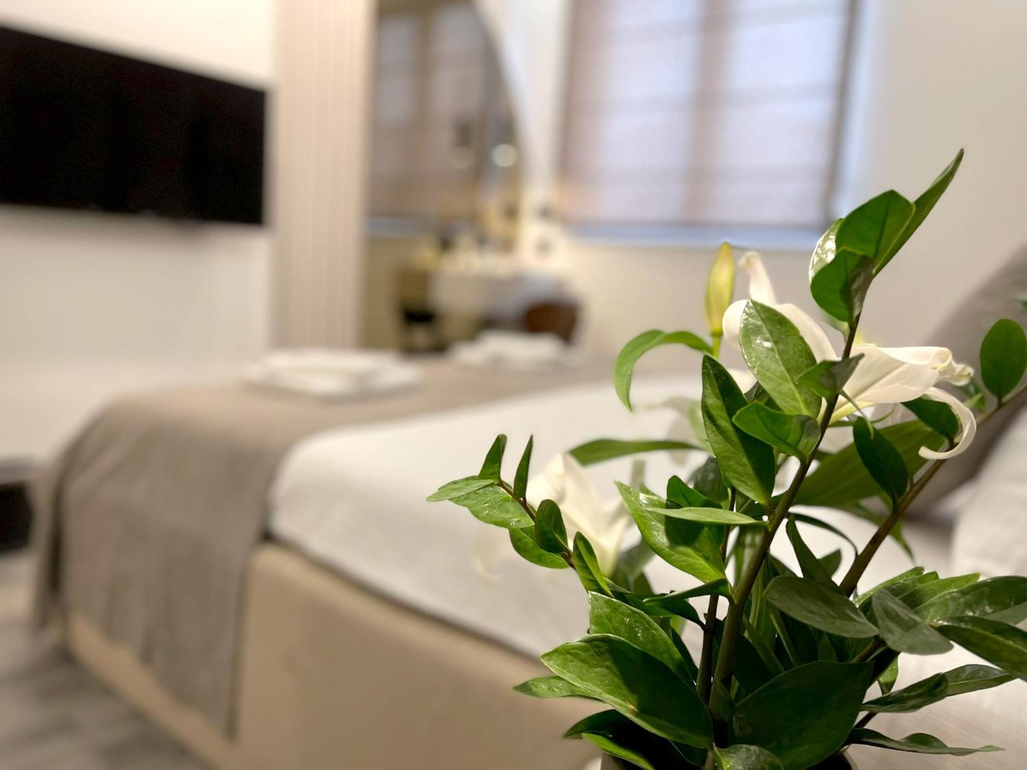 Hotel Npl Code Naselje Starosjedilaca 外观 照片